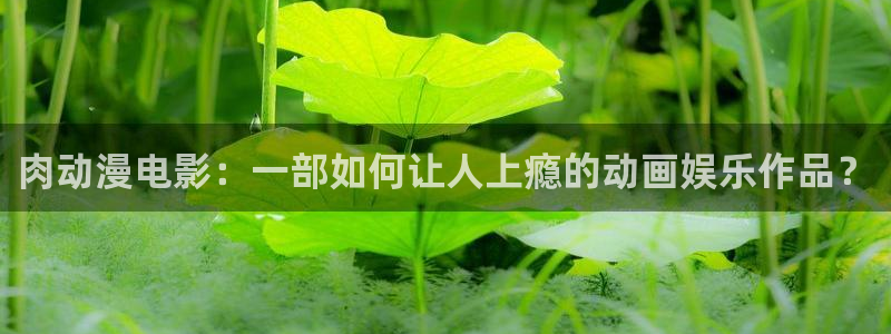 里番动漫中文字幕