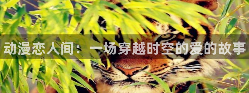 里番动漫有那些