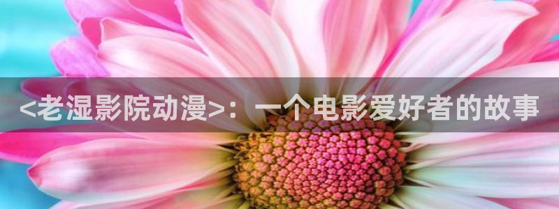 《里番动漫：<老湿影院动漫>：一个电影爱好者的故事