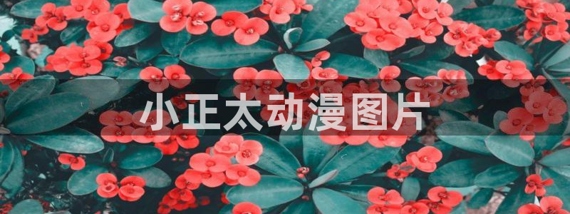 少女漫画里番本子：小正太动漫图片