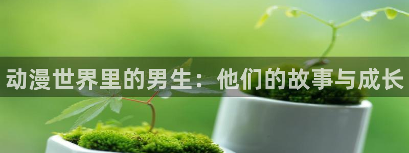 动漫里番肉番：动漫世界里的男生：他们的故事与成长