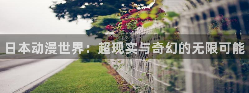 里番漫画软件：日本动漫世界：超现实与奇幻的无限可能