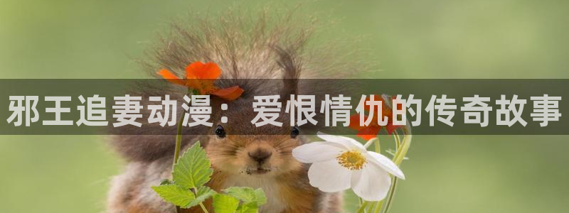 火影里番动漫：邪王追妻动漫：爱恨情仇的传奇故事