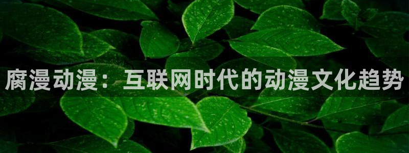 里番acg漫画下载：腐漫动漫：互联网时代的动漫文化趋势