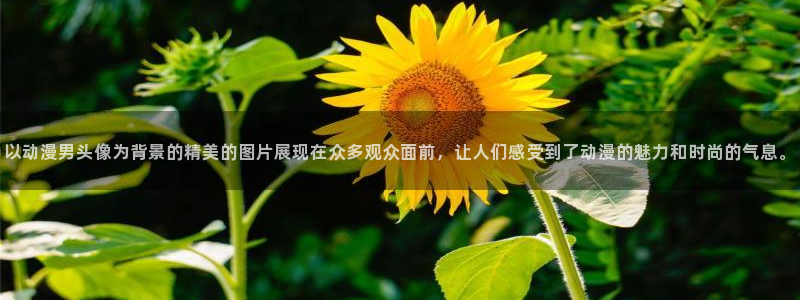 高清里番：以动漫男头像为背景的精美的图片展现在众多观众面前，让人们感受到了动漫的魅力和时尚的气息。
