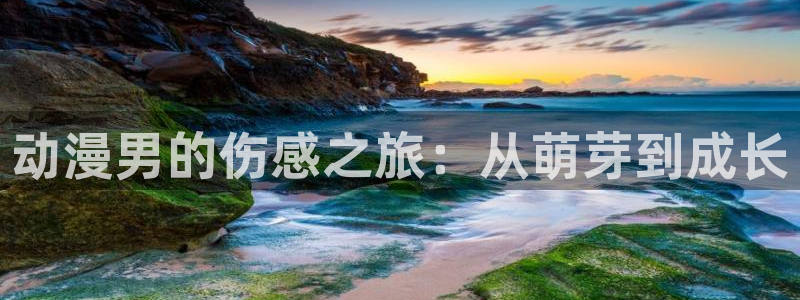 里番女主：动漫男的伤感之旅：从萌芽到成长