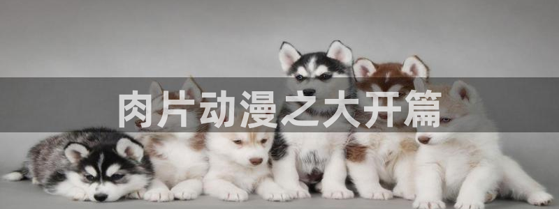 里番漫在线：肉片动漫之大开篇