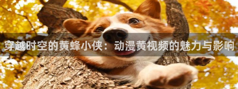 acg动漫里番：穿越时空的黄蜂小侠：动漫黄视频的魅力与影响
