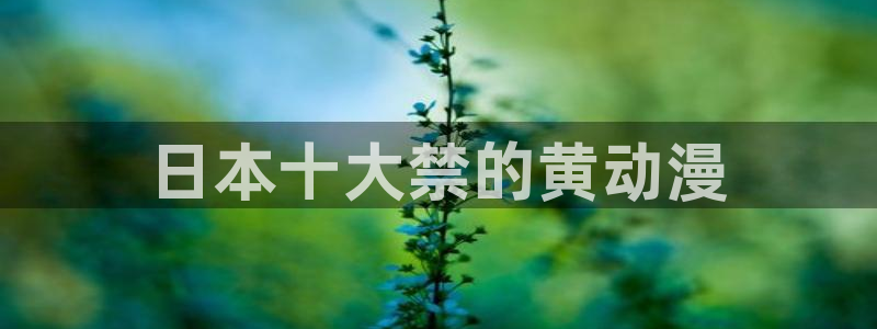 里番动画观看：日本十大禁的黄动漫