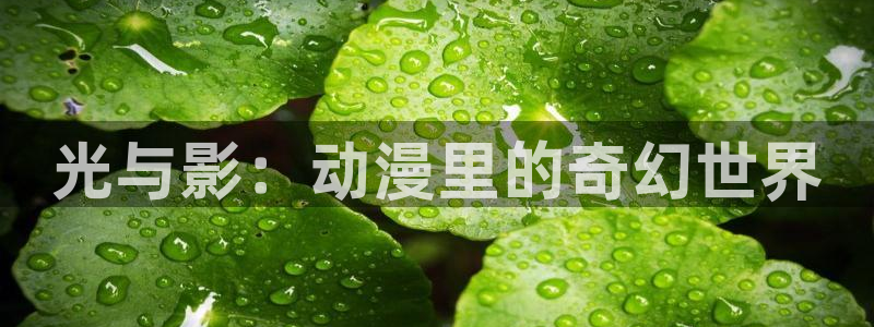 有哪些里番：光与影：动漫里的奇幻世界