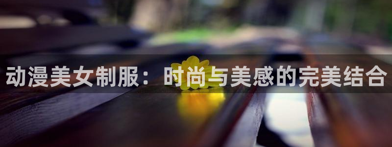 里番动漫风车