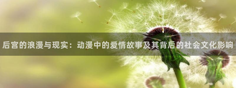 3d里番动漫网：后宫的浪漫与现实：动漫中的爱情故事及其背后的社会文化影响