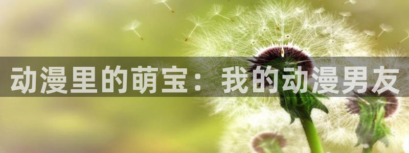 里番漫推荐：动漫里的萌宝：我的动漫男友