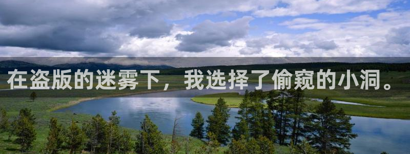 3d成人动漫里番：在盗版的迷雾下，我选择了偷窥的小洞。